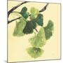 Gingko Leaves I Dark-Chris Paschke-Mounted Art Print