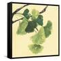 Gingko Leaves I Dark-Chris Paschke-Framed Stretched Canvas