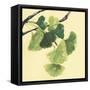 Gingko Leaves I Dark-Chris Paschke-Framed Stretched Canvas