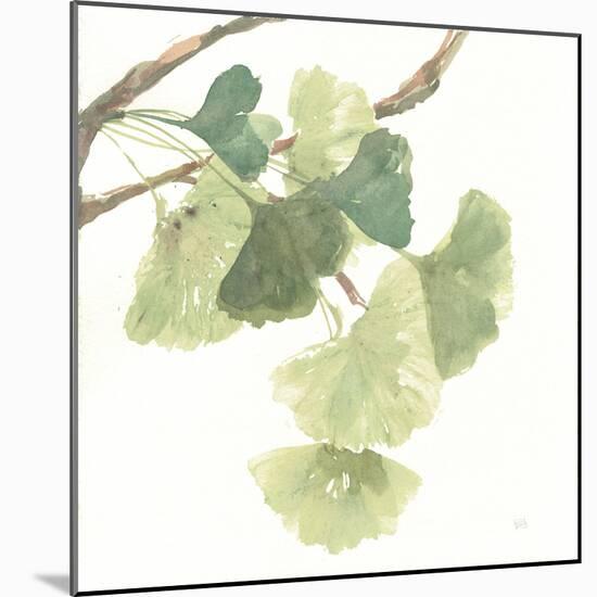 Gingko Leaves I on White-Chris Paschke-Mounted Art Print