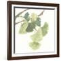 Gingko Leaves I on White-Chris Paschke-Framed Art Print