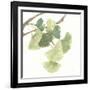 Gingko Leaves I on White-Chris Paschke-Framed Art Print