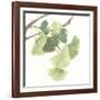 Gingko Leaves I on White-Chris Paschke-Framed Art Print