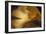 Gingko Leaves I-Rita Crane-Framed Photographic Print