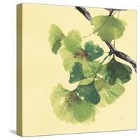 Gingko Leaves II Dark-Chris Paschke-Stretched Canvas