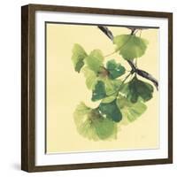 Gingko Leaves II Dark-Chris Paschke-Framed Art Print