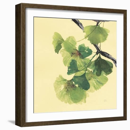 Gingko Leaves II Dark-Chris Paschke-Framed Art Print