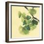 Gingko Leaves II Dark-Chris Paschke-Framed Art Print