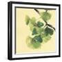 Gingko Leaves II Dark-Chris Paschke-Framed Art Print