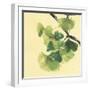 Gingko Leaves II Dark-Chris Paschke-Framed Art Print