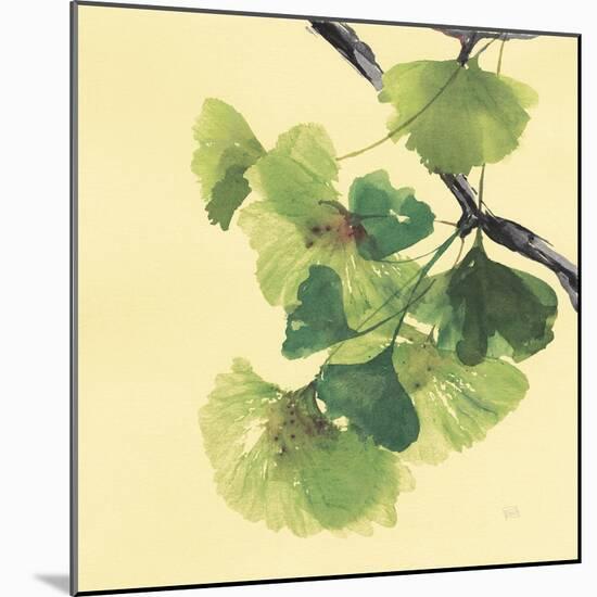 Gingko Leaves II Dark-Chris Paschke-Mounted Art Print