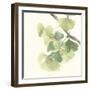 Gingko Leaves II Light-Chris Paschke-Framed Premium Giclee Print