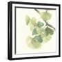 Gingko Leaves II Light-Chris Paschke-Framed Premium Giclee Print