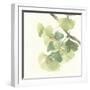 Gingko Leaves II Light-Chris Paschke-Framed Premium Giclee Print