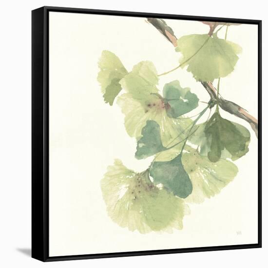 Gingko Leaves II Light-Chris Paschke-Framed Stretched Canvas