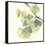 Gingko Leaves II Light-Chris Paschke-Framed Stretched Canvas