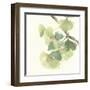 Gingko Leaves II Light-Chris Paschke-Framed Art Print