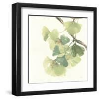 Gingko Leaves II Light-Chris Paschke-Framed Art Print