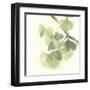 Gingko Leaves II Light-Chris Paschke-Framed Art Print