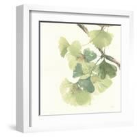 Gingko Leaves II Light-Chris Paschke-Framed Art Print