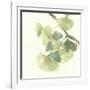 Gingko Leaves II Light-Chris Paschke-Framed Art Print