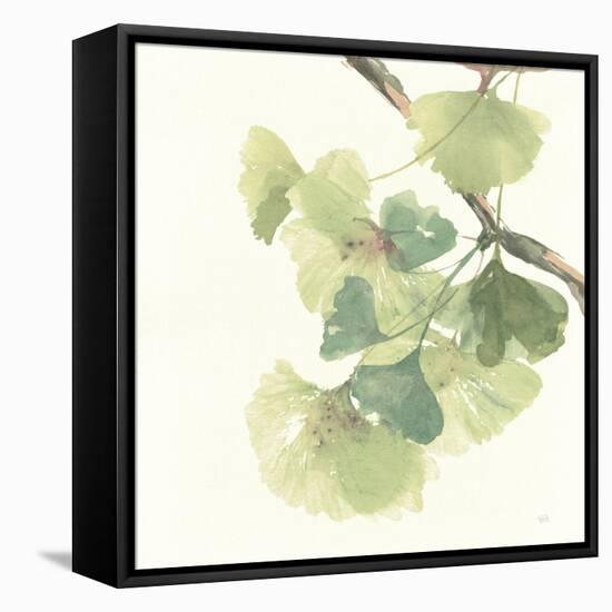 Gingko Leaves II Light-Chris Paschke-Framed Stretched Canvas