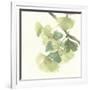 Gingko Leaves II Light-Chris Paschke-Framed Art Print