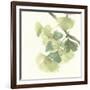 Gingko Leaves II Light-Chris Paschke-Framed Art Print