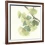 Gingko Leaves II Light-Chris Paschke-Framed Art Print