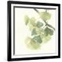 Gingko Leaves II Light-Chris Paschke-Framed Art Print