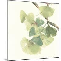 Gingko Leaves II Light-Chris Paschke-Mounted Art Print