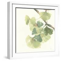 Gingko Leaves II Light-Chris Paschke-Framed Art Print