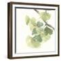 Gingko Leaves II on White-Chris Paschke-Framed Art Print