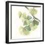 Gingko Leaves II on White-Chris Paschke-Framed Art Print