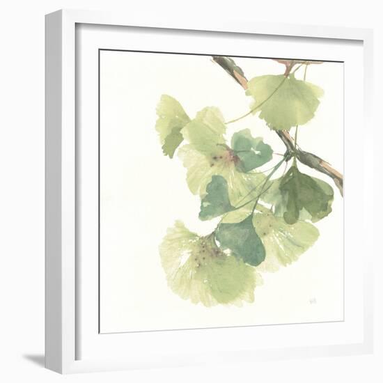 Gingko Leaves II on White-Chris Paschke-Framed Art Print