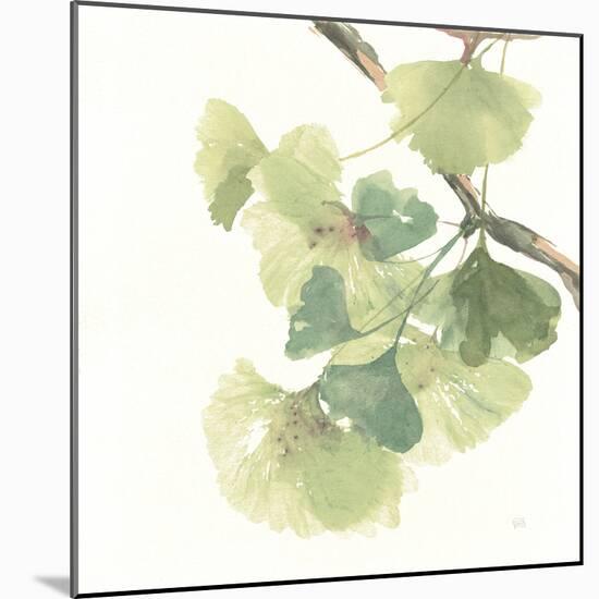 Gingko Leaves II on White-Chris Paschke-Mounted Art Print