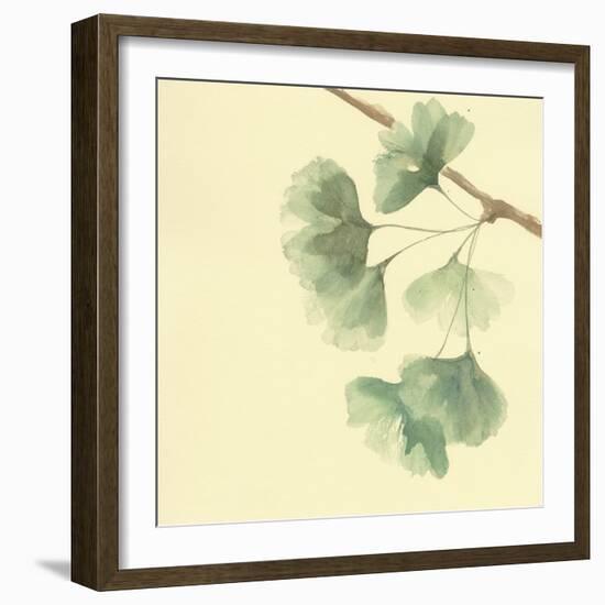 Gingko Leaves III-Chris Paschke-Framed Art Print