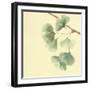 Gingko Leaves III-Chris Paschke-Framed Art Print