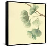 Gingko Leaves III-Chris Paschke-Framed Stretched Canvas