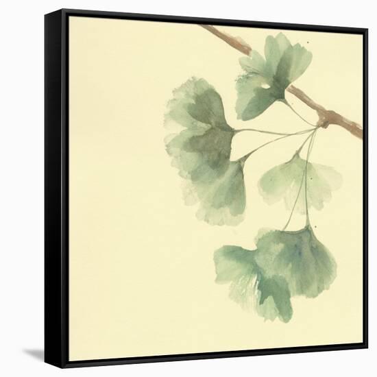 Gingko Leaves III-Chris Paschke-Framed Stretched Canvas