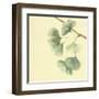 Gingko Leaves III-Chris Paschke-Framed Art Print