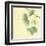 Gingko Leaves III-Chris Paschke-Framed Art Print