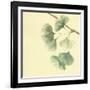 Gingko Leaves III-Chris Paschke-Framed Art Print