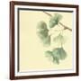 Gingko Leaves III-Chris Paschke-Framed Art Print