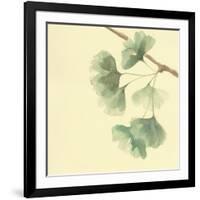 Gingko Leaves III-Chris Paschke-Framed Art Print