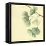Gingko Leaves III-Chris Paschke-Framed Stretched Canvas