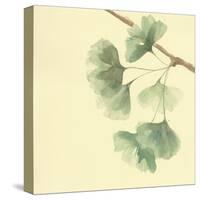 Gingko Leaves III-Chris Paschke-Stretched Canvas