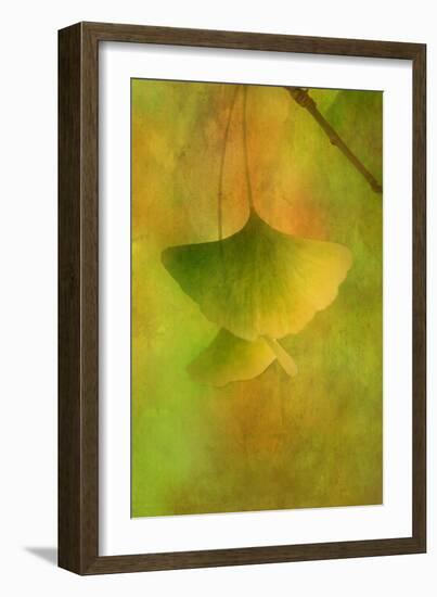 Gingko Love-Philippe Sainte-Laudy-Framed Photographic Print