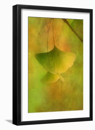 Gingko Love-Philippe Sainte-Laudy-Framed Photographic Print