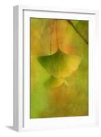 Gingko Love-Philippe Sainte-Laudy-Framed Photographic Print